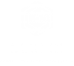 Logo Neofib blanc